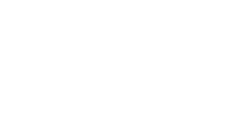 Nestor Martin Logo